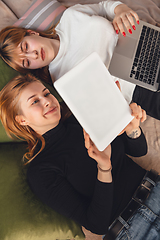 Image showing Young friends, women using gadgets to watch cinema, photos, online courses, taking selfie or vlog, top view