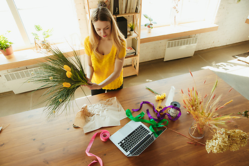 Image showing Florist at work: woman shows how to make bouquet with tulips, working at home concept, choosing flowers