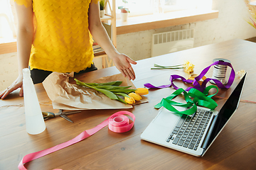 Image showing Florist at work: woman shows how to make bouquet with tulips, working at home concept, choosing decoration