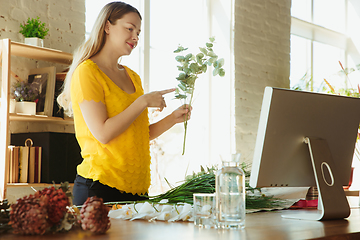 Image showing Florist at work: woman shows how to make bouquet, working at home concept, choosing plants for composition