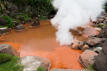 Image showing Blood Hell Hot Springs in Japan