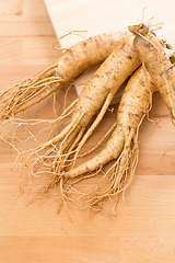 Image showing Fresh Ginseng