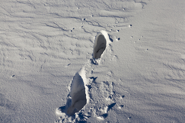 Image showing footsteps in the snow
