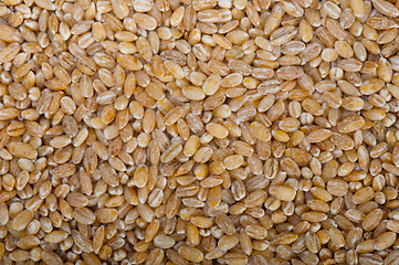 Image showing organic barley grains