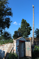 Image showing stork standing on the rural telegraph-pole above the cellar