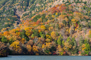 Image showing Autumn Landscape