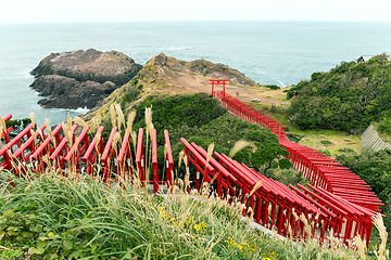 Image showing Motonosumiinari Shrine with row of Torii