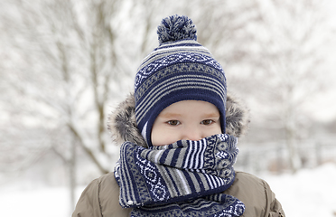 Image showing boy scarf frost park winter