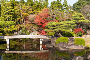 Image showing Kokoen Garden in autumn