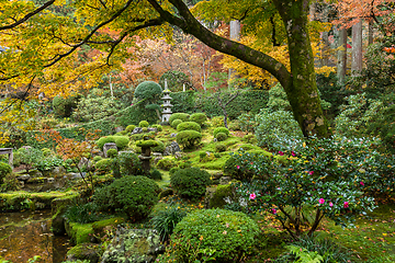 Image showing Beautiful Japanese garden in autumn season