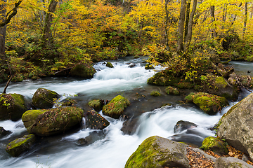Image showing Japanese Oirase Mountain Stream in autumn season