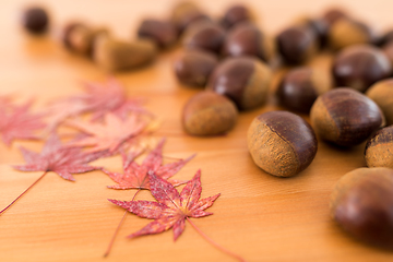 Image showing Pile of chestnuts and maple leaves