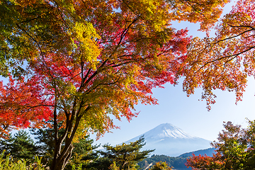 Image showing Autumn Season and Mountain Fuji 