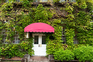 Image showing Plant and door gate