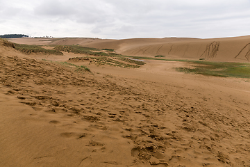 Image showing Tottori sand dunes