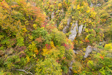 Image showing Naruko Gorge International Park with colorful autumn leaf in Jap