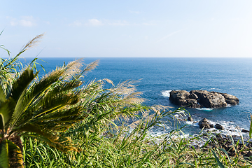 Image showing Coastline in Nichinan Kaigan Quasi National Park