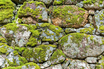 Image showing Brick wall with moss