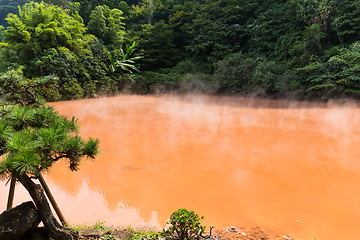 Image showing Hot Spring of Umi-Zigoku in Beppu