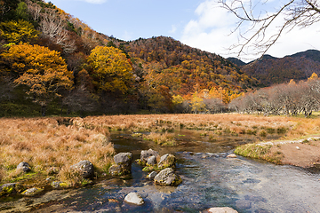 Image showing Marsh in nikko of Japan