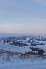 Image showing Altai mountains winte road