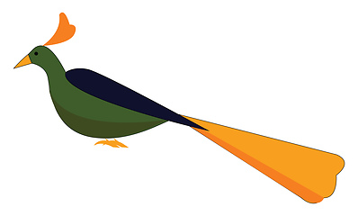 Image showing A cute little multi-colored elegant peacock vector or color illu