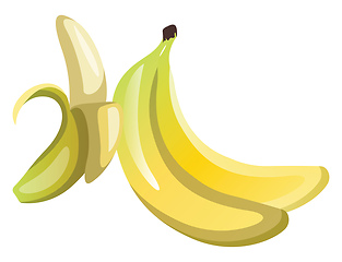 Image showing Yellow pealed bananas cartoon fruit vector illustration on white