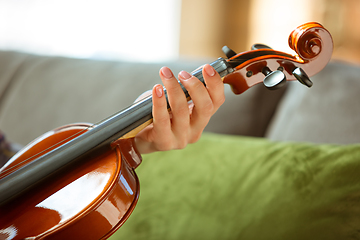 Image showing Young woman studying at home during online courses or free information by herself, close up shoot of violin