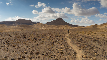 Image showing Trekking in Negev dramatic stone desert, Israel 