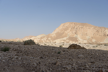 Image showing Desert trekking in Israel