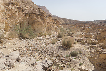 Image showing Desert trekking in Israel