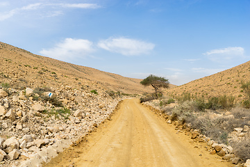 Image showing Desert trekking in Israel