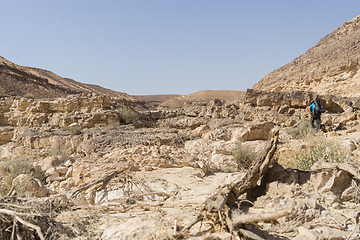 Image showing Desert trekking in Israel