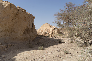 Image showing Desert trekking in Israel