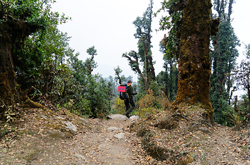 Image showing Backpakers in Nepal jungle trek