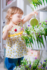Image showing little girl watering flowers