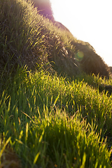 Image showing Roll of Straw