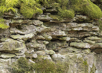 Image showing mossy rock formation