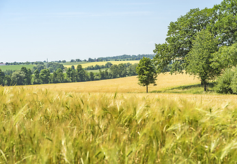 Image showing rural scenery in Hohenlohe