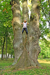 Image showing Woman standing on big tree. Gay garl standing high on trunk