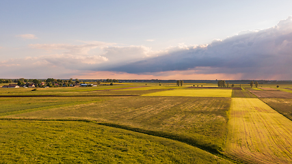 Image showing Meadow with trees landscape from aerial