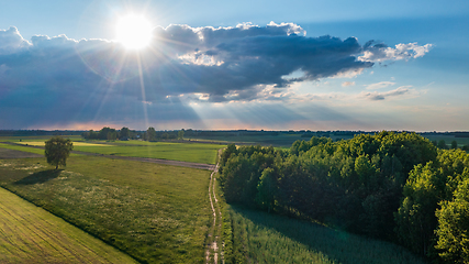 Image showing Field with trees landscape from aerial