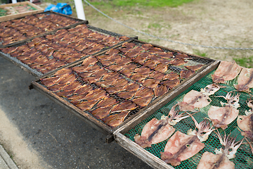 Image showing Drying squid and fish in market