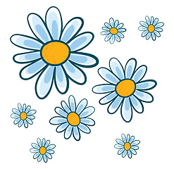 Image showing White chamomile flowers vector illustration on white background.