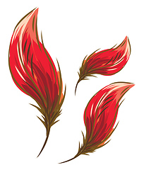 Image showing Red petal like feather vector or color illustration