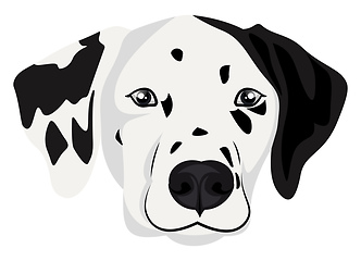 Image showing Dalmatian illustration vector on white background