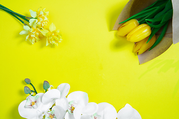 Image showing Monochrome stylish composition in yellow color. Top view, flat lay.