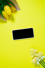 Image showing Monochrome stylish composition in yellow color. Top view, flat lay.