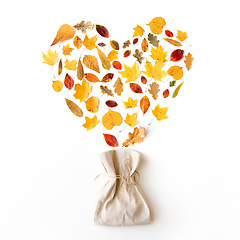 Image showing autumn leaves in shape of heart and linen bag