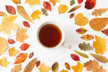 Image showing cup of black tea and different dry autumn leaves